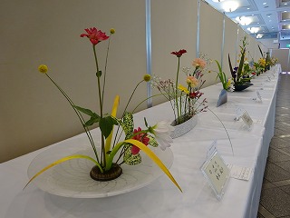 DSC01138.jpg